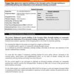 11 Narrative Report Examples Pdf Examples Field Observation With Field Report Template