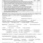12+ Harassment Investigation Checklist Examples – Pdf Throughout Sexual Harassment Investigation Report Template