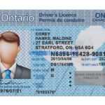 169Bbe Ontario Drivers License Template | Wiring Library Within Blank Drivers License Template