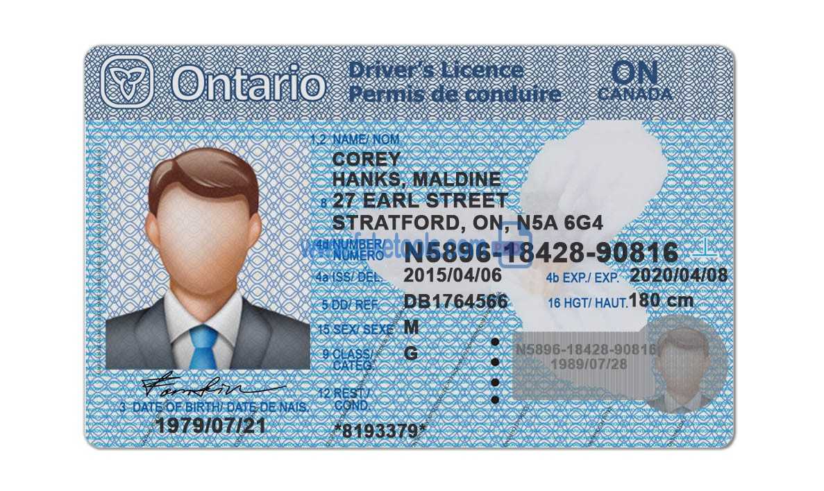 169Bbe Ontario Drivers License Template | Wiring Library Within Blank Drivers License Template