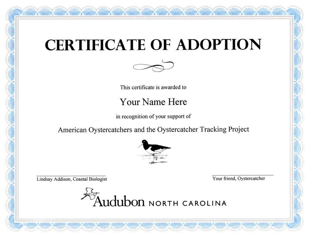 28+ [ Adoption Certificate Template ] | Adoption Certificate For Blank Adoption Certificate Template