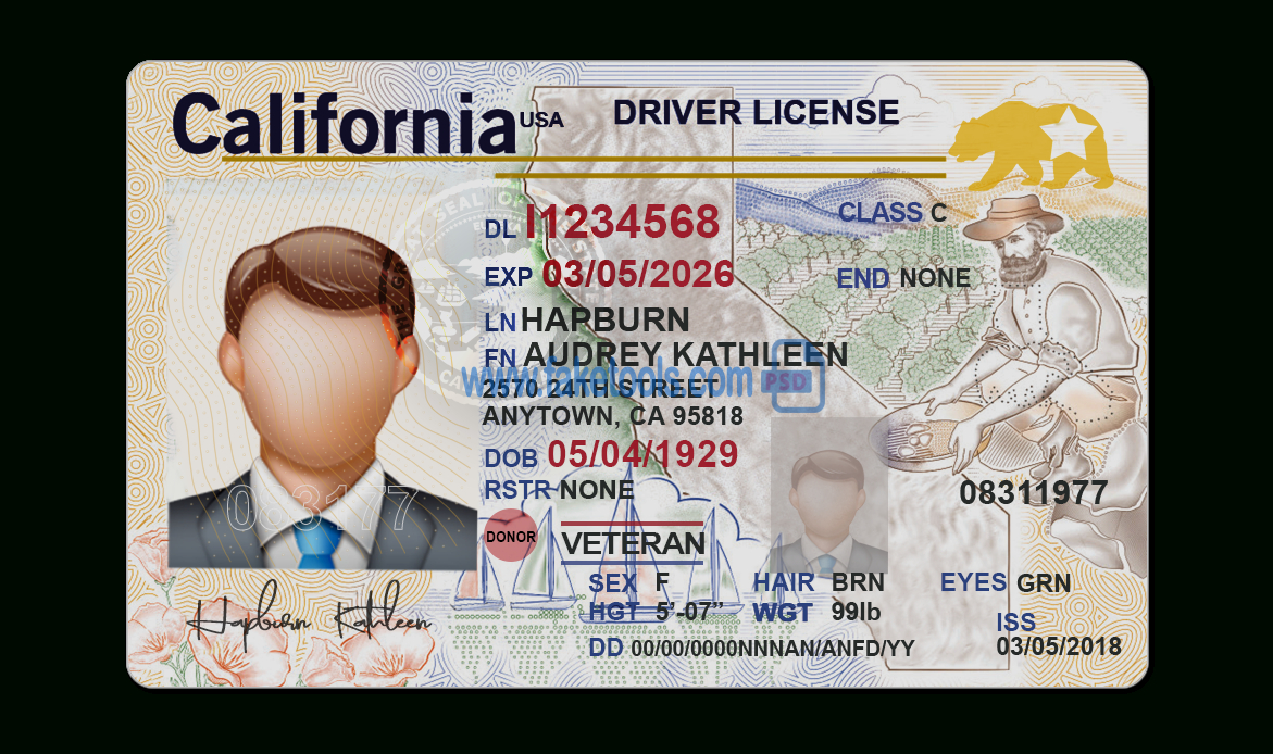 3A1Fe7 California Driver License Template | Wiring Library Pertaining To Blank Drivers License Template
