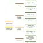 40 Organizational Chart Templates (Word, Excel, Powerpoint) Inside Company Organogram Template Word
