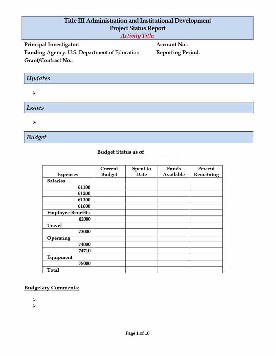 40+ Project Status Report Templates [Word, Excel, Ppt] ᐅ Intended For It Issue Report Template