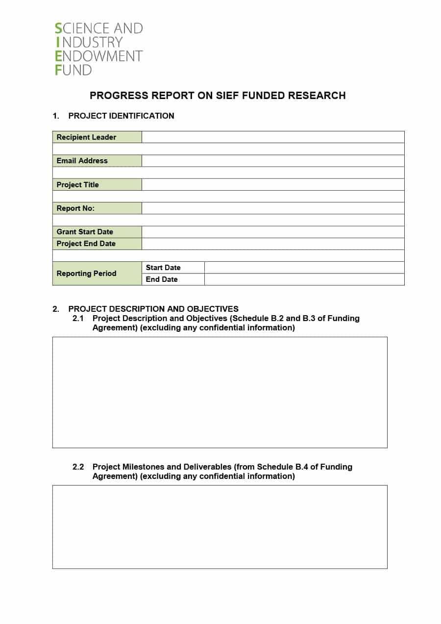 40+ Project Status Report Templates [Word, Excel, Ppt] ᐅ Pertaining To Funding Report Template