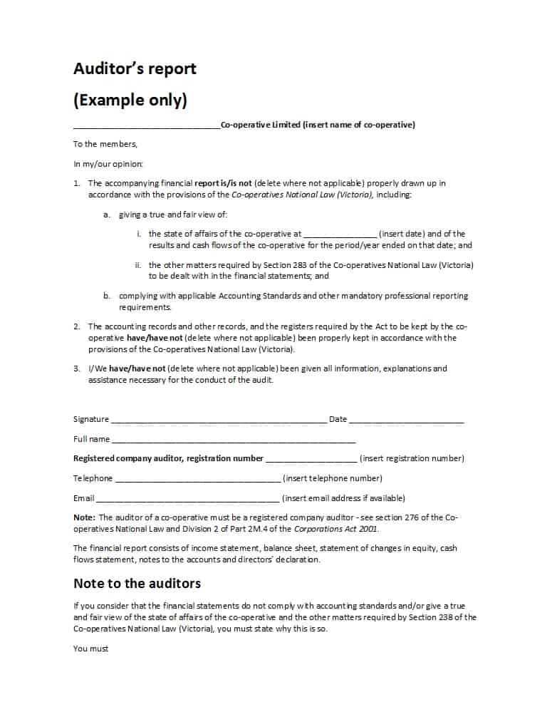 40D19Db Financial Audit Report Template | Wiring Library Throughout Operative Report Template
