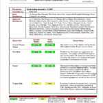 8+ Weekly Status Report Examples – Pdf | Examples Pertaining To Project Weekly Status Report Template Excel