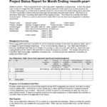 9+ Status Report Examples – Doc, Pdf | Examples With Project Manager Status Report Template