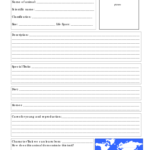 Animal Report Template – 5 Free Templates In Pdf, Word Intended For Animal Report Template