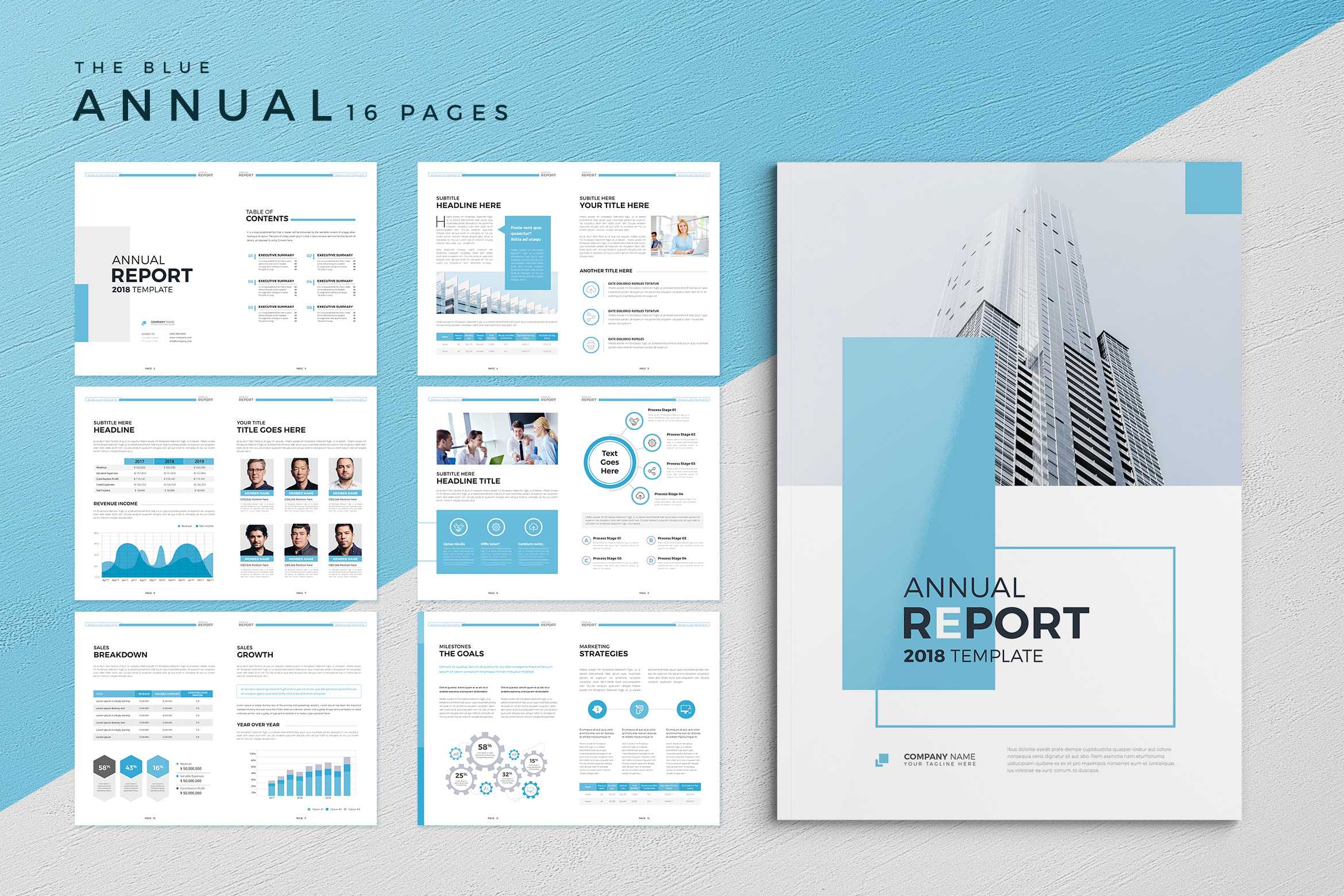 Annual Report Example – Dalep.midnightpig.co Within Summary Annual Report Template