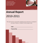 Annual Report Template Throughout Summary Annual Report Template