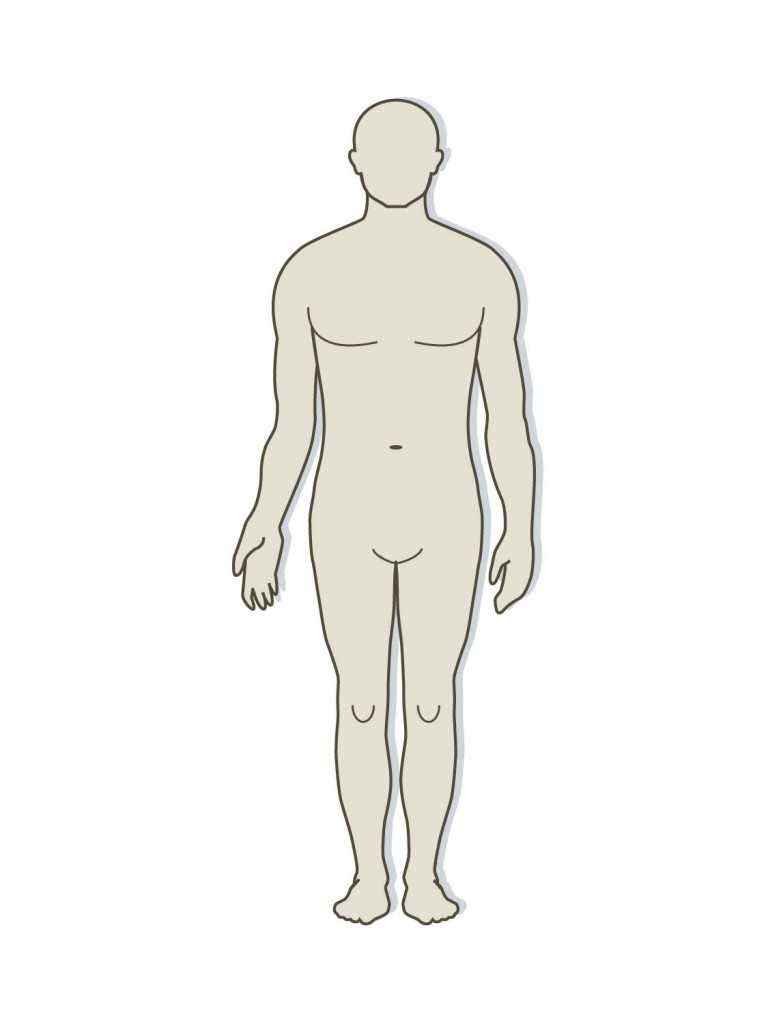 Blank Body Diagram – Falep.midnightpig.co Within Blank Body Map Template