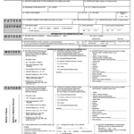 Certificate Of Live Birth Form Editable – Fill Out And Sign Printable Pdf  Template | Signnow Throughout Birth Certificate Template For Microsoft Word