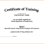 Downloadable Certificate Of Training Completion Template Intended For Training Certificate Template Word Format