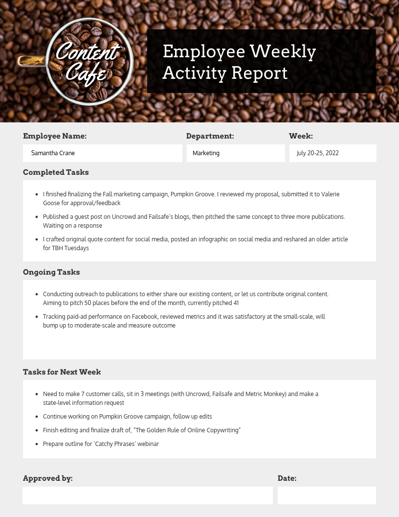 Employee Weekly Status Report With Weekly Activity Report Template