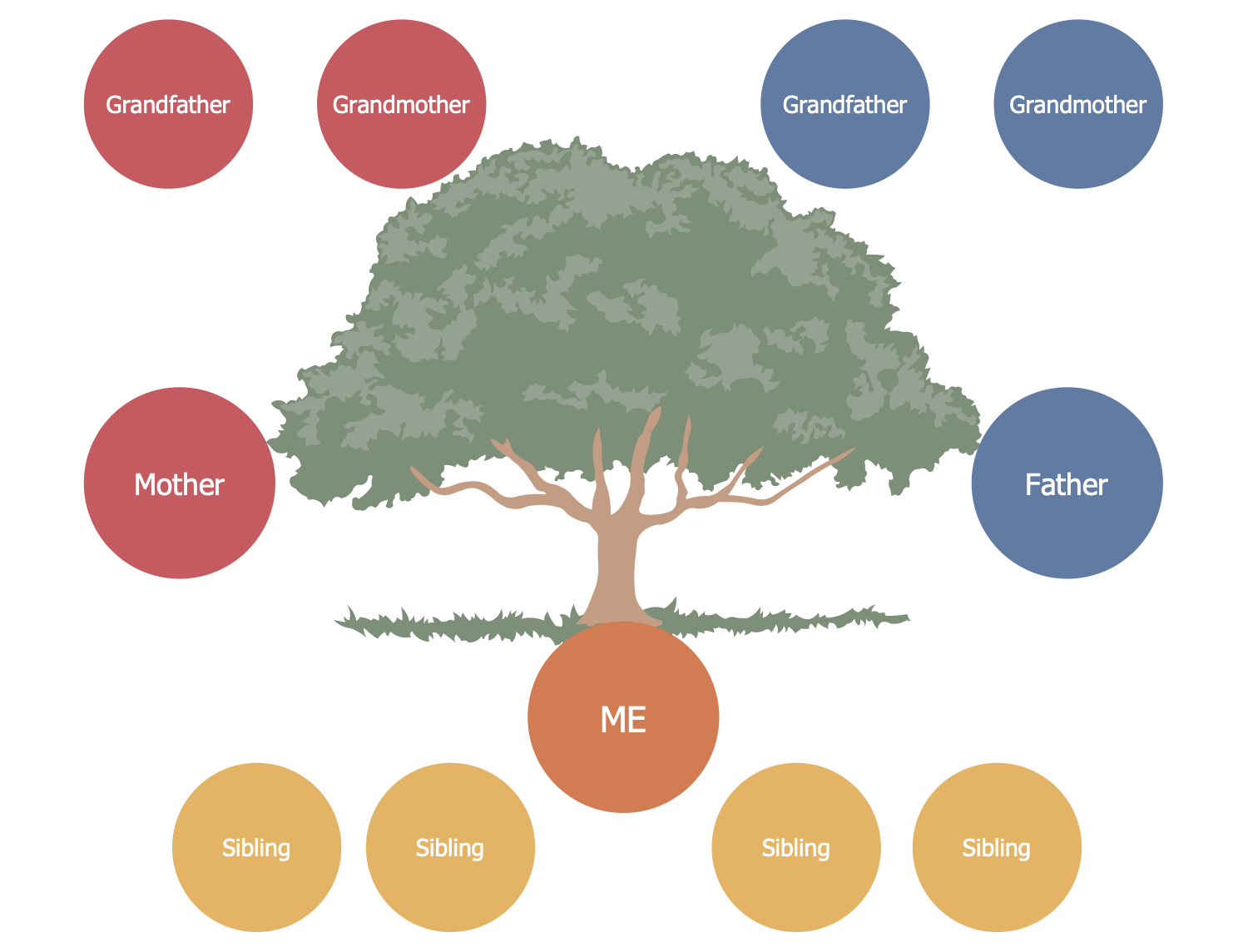 Family Tree Solution | Conceptdraw Regarding 3 Generation Family Tree Template Word