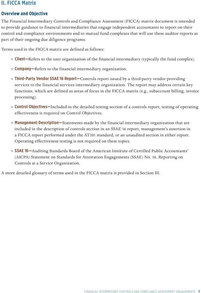 Ssae 16 Report Template