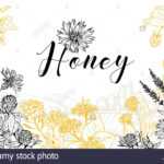 Flower Honey Vector Hand Drawn Banner Template. Natural With Regard To Homemade Banner Template