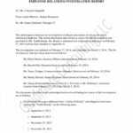 Free 10 Workplace Investigation Report Examples Pdf Examples For Workplace Investigation Report Template