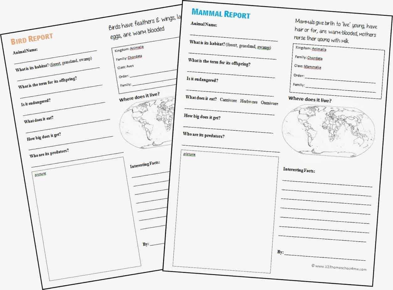 Free Animal Report Form Printable With Animal Report Template