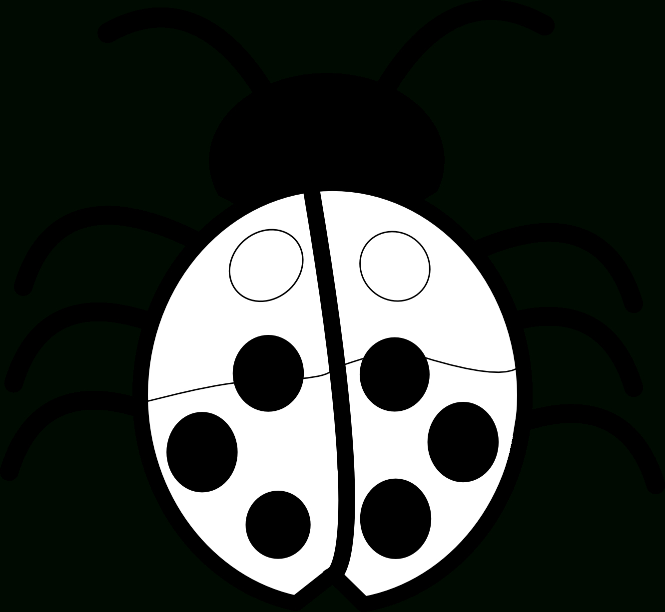 Free Ladybug Outline, Download Free Clip Art, Free Clip Art For Blank Ladybug Template
