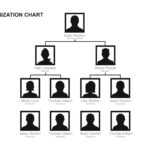 Free Printable Organizational Chart Template – Falep In Free Blank Organizational Chart Template