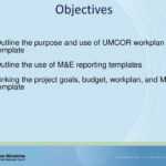 Grants – Workplan And Monitoring And Evaluation (M&e For M&e Report Template