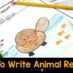How To Easily Write Animal Reports With Kids With Animal Report Template