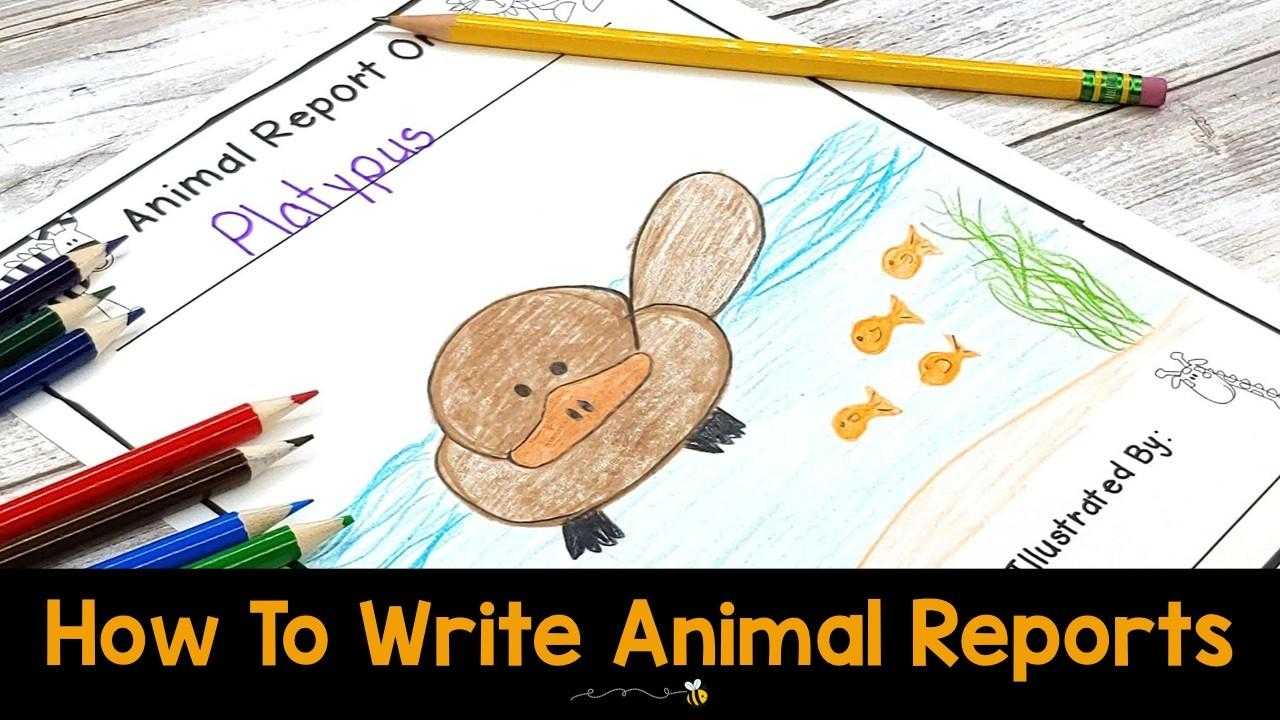 How To Easily Write Animal Reports With Kids With Animal Report Template