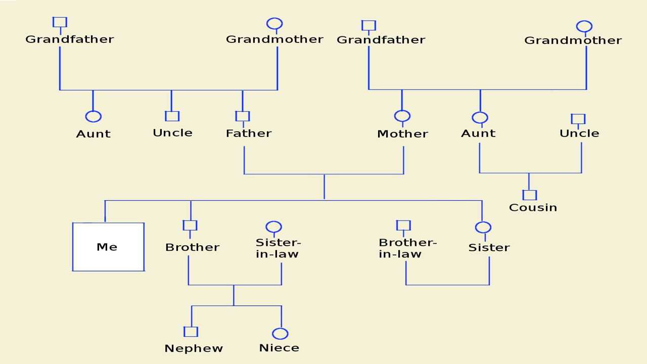 How To Make A Genogram Using Microsoft Word – Tech Spirited Intended For Genogram Template For Word