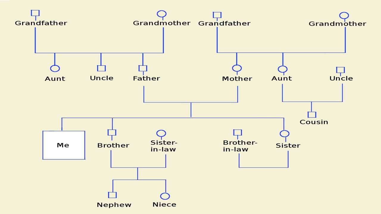 How To Make A Genogram Using Microsoft Word - Tech Spirited With Family Genogram Template Word