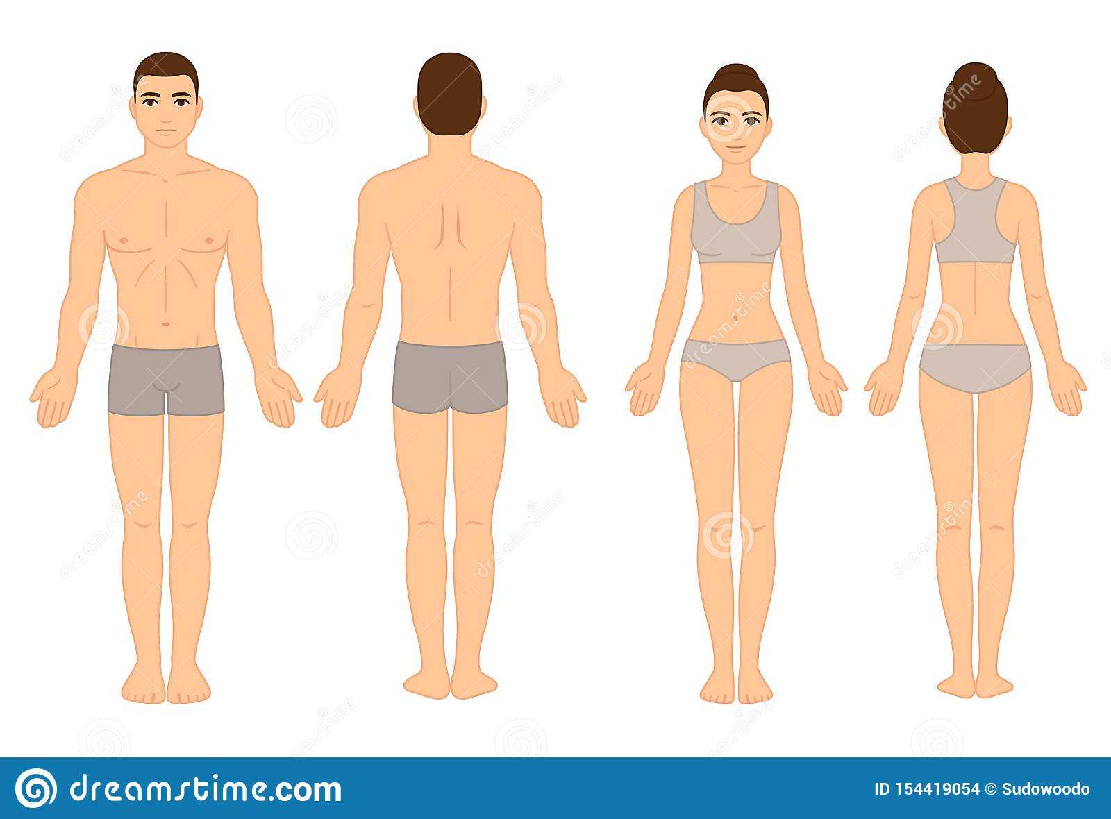 Male And Female Body Chart Stock Vector. Illustration Of With Blank Body Map Template