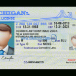 Michigan Driver License Psd Template pertaining to Blank Drivers License Template