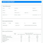Modifi Ed Semen Analysis Report Template. The Main With Reliability Report Template