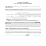 Nh Llc – How To Form An Llc In New Hampshire Inside Llc Annual Report Template