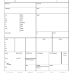 Nurse Brain Worksheet | Printable Worksheets And Activities with regard to Nurse Report Template