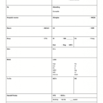 Nursing Report Sheet Template – Nursejanx Store With Nurse Report Sheet Templates