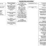 Nursing Rounds Worksheet | Printable Worksheets And Inside Icu Report Template