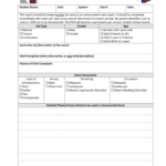 Patient Report Template – Calep.midnightpig.co In Patient Care Report Template