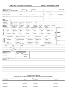 Patient Report Template - Calep.midnightpig.co intended for Patient Care Report Template