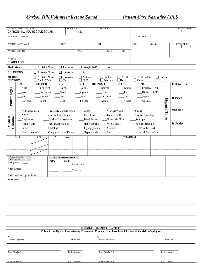 Patient Report Template - Calep.midnightpig.co Intended For Patient Care Report Template