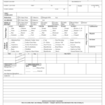 Patient Report Template – Calep.midnightpig.co Within Charge Nurse Report Sheet Template