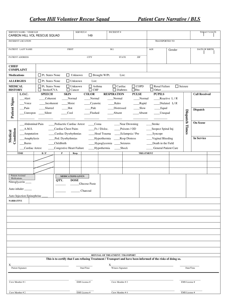 Patient Report Template – Calep.midnightpig.co Within Charge Nurse Report Sheet Template