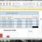 Performance Report Format Excel – Falep.midnightpig.co With Test Summary Report Excel Template