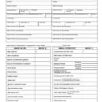 Personal Financial Statement Form Excel – Falep.midnightpig.co Throughout Blank Personal Financial Statement Template