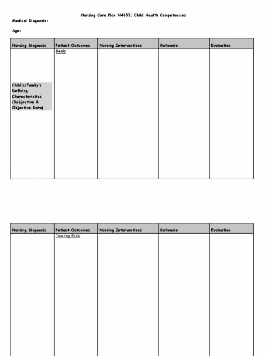 Plan Of Care Template – Dalep.midnightpig.co Within Nursing Care Plan Template Word