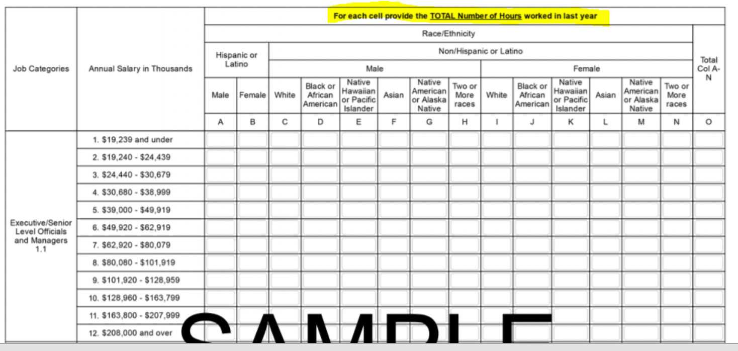 Prepare Now For Next Eeo 1 Component With Eeo 1 Report Template