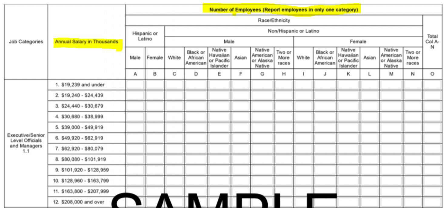 Prepare Now For Next Eeo 1 Component With Regard To Eeo 1 Report Template