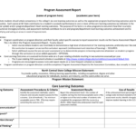 Program Assessment Report Template Within Data Quality Assessment Report Template