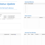 Project Daily Status Report Template – Falep.midnightpig.co Throughout Daily Status Report Template Xls